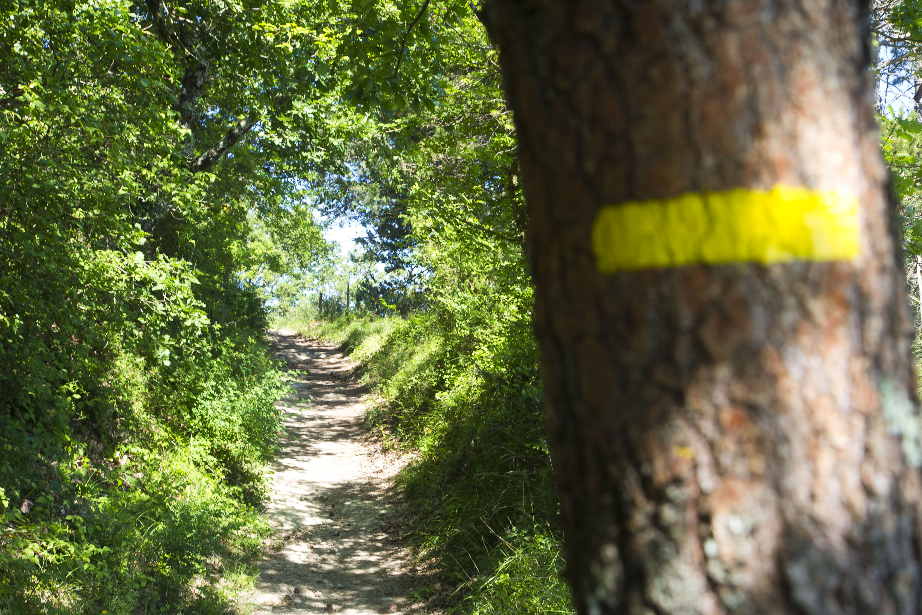 Chemin De Chemin De